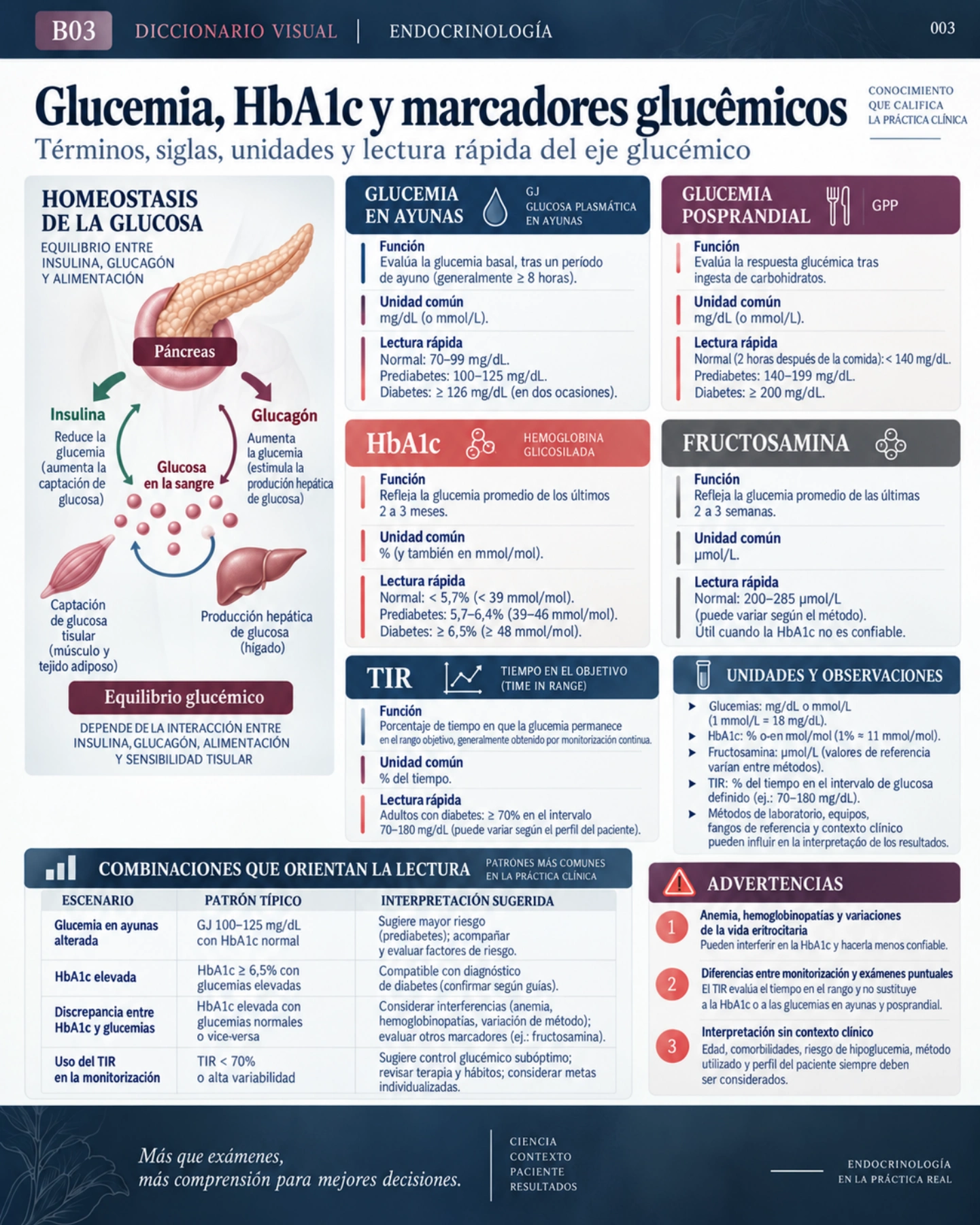Diccionario visual — página 3